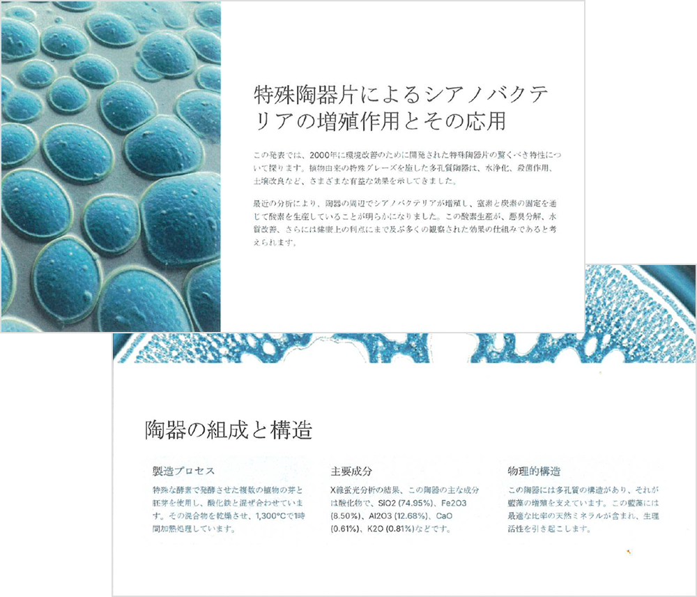 論文で証明されています。